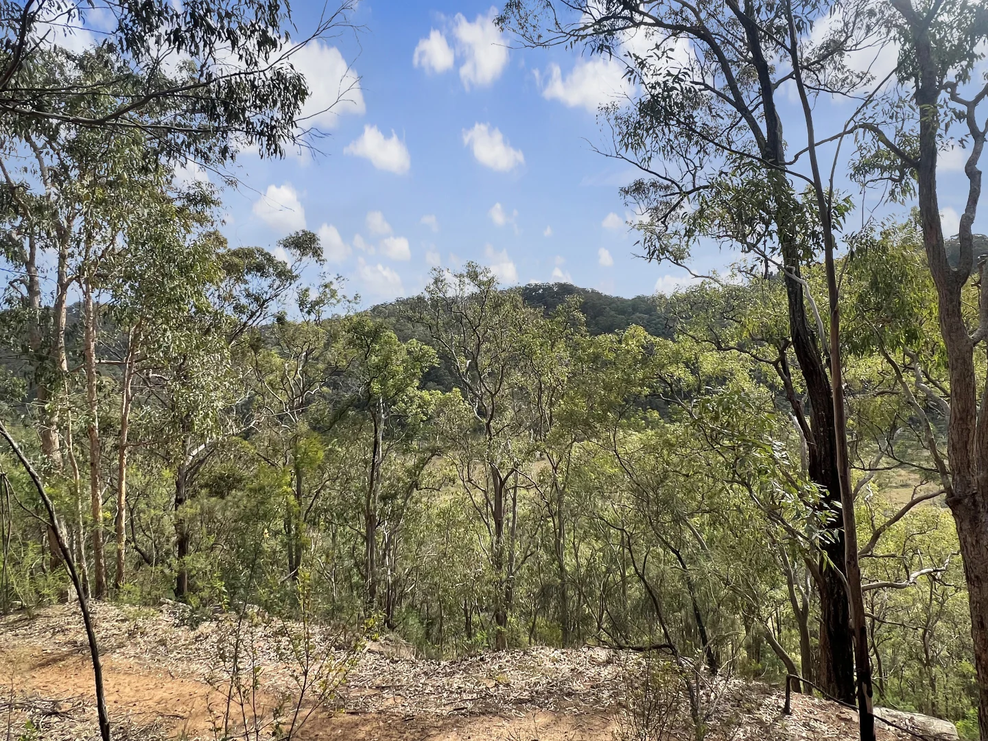 Additional image 18 of Parcel A Hitcham Park Dairy Arm Road, Laguna NSW 2325