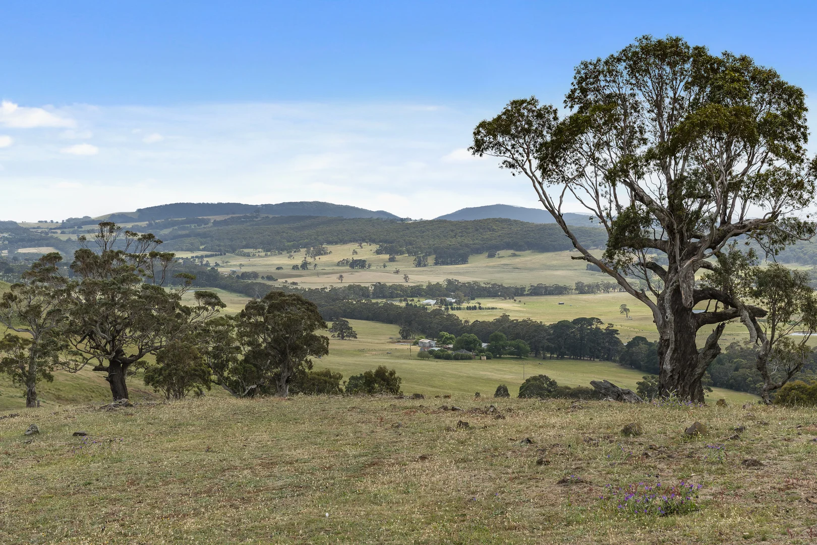 Additional image 28 of 121 Mt William Road, Goldie VIC 3435