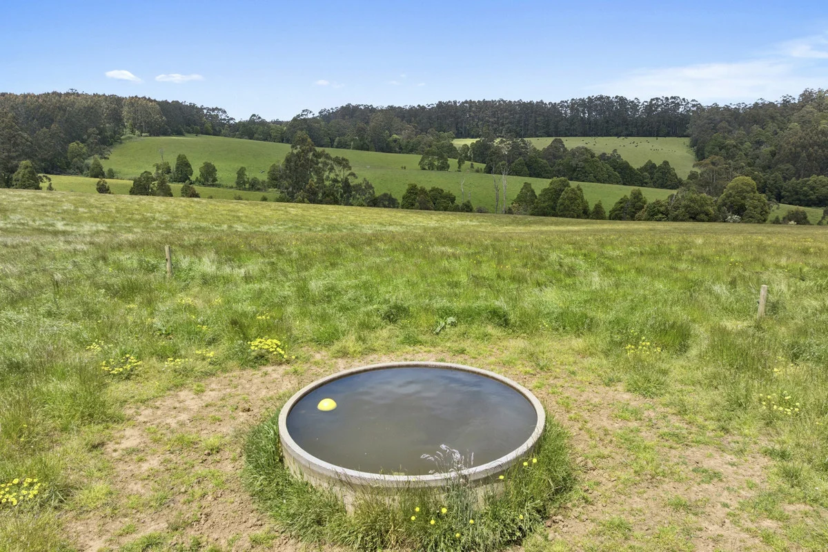 Additional image 27 of 4230 Colac-Lavers Hill Road, Weeaproinah VIC 3237