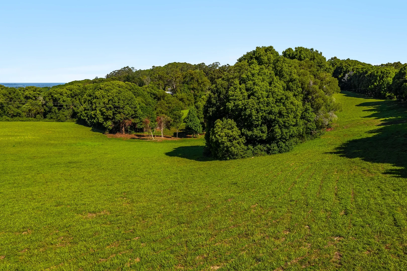 Additional image 11 of 217 Goonengerry Mill Road, Goonengerry NSW 2482