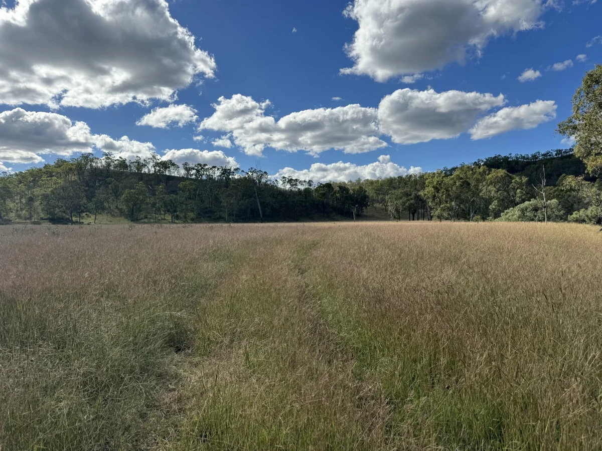 Additional image 11 of 186 Mungungo Creek Road, Monto QLD 4630