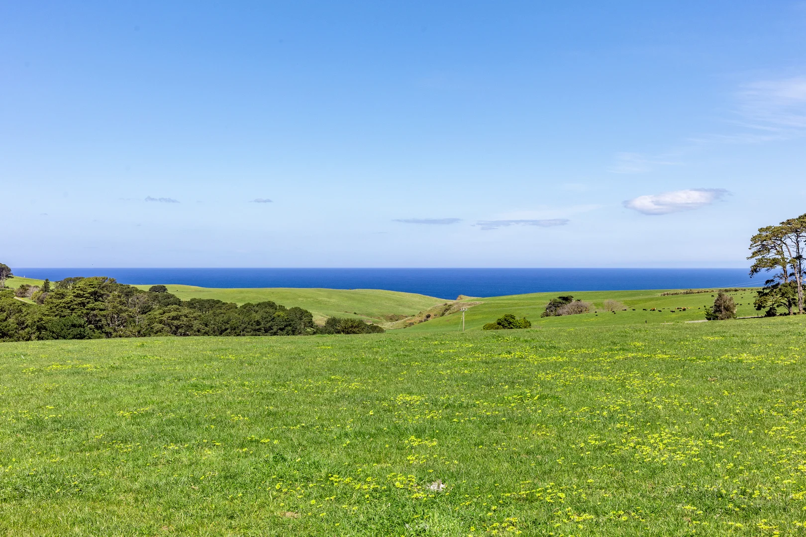 Additional image 3 of 1597 Boneo Road, Flinders VIC 3929