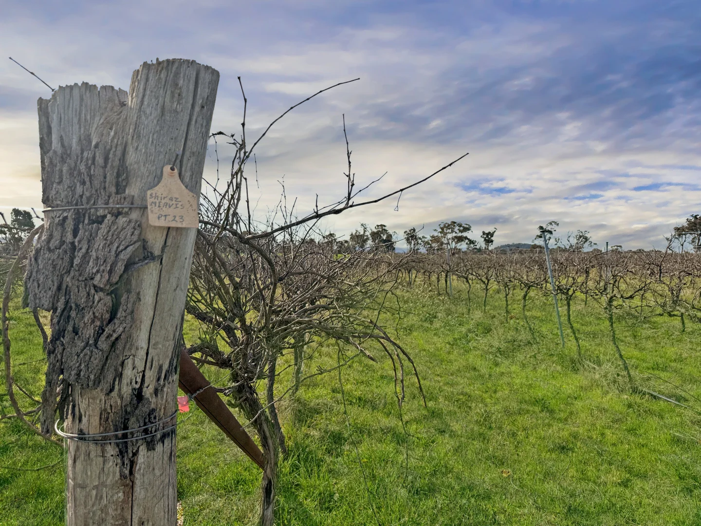 Additional image 13 of 376 Kingstown Road, Uralla NSW 2358