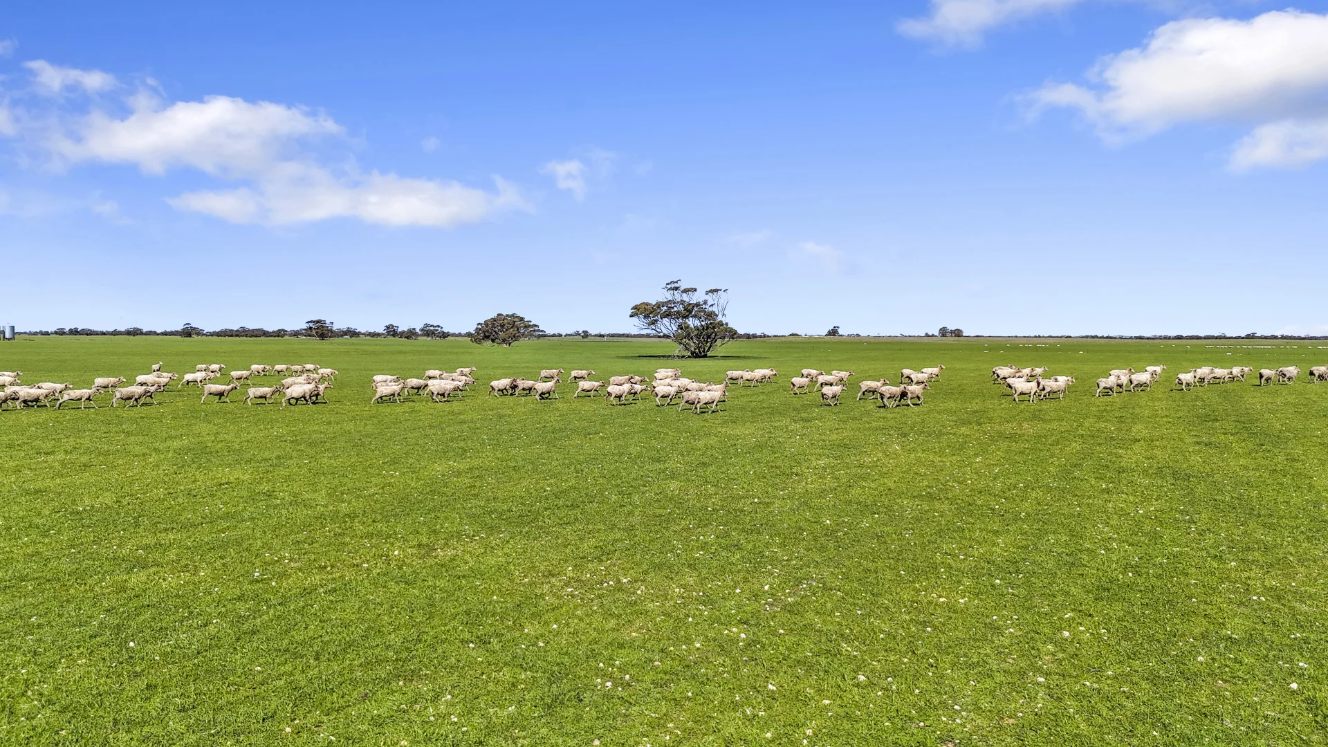 Additional image 29 of 378 Jones Road, Yumali SA 5261