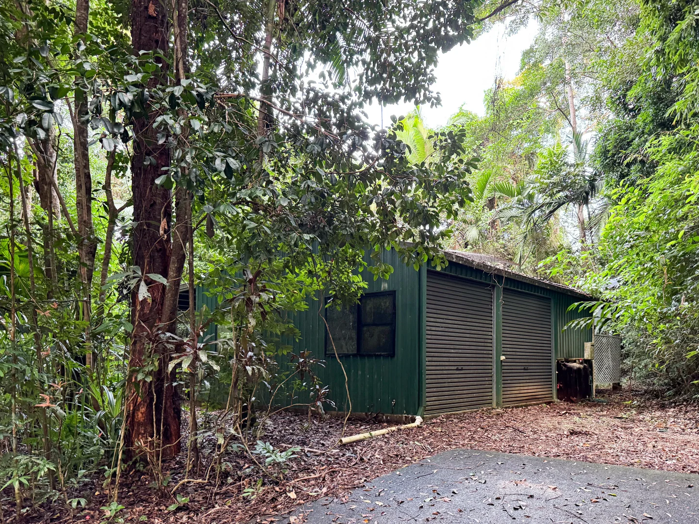 Additional image 31 of 50 Rockingham Cl, Wongaling Beach QLD 4852