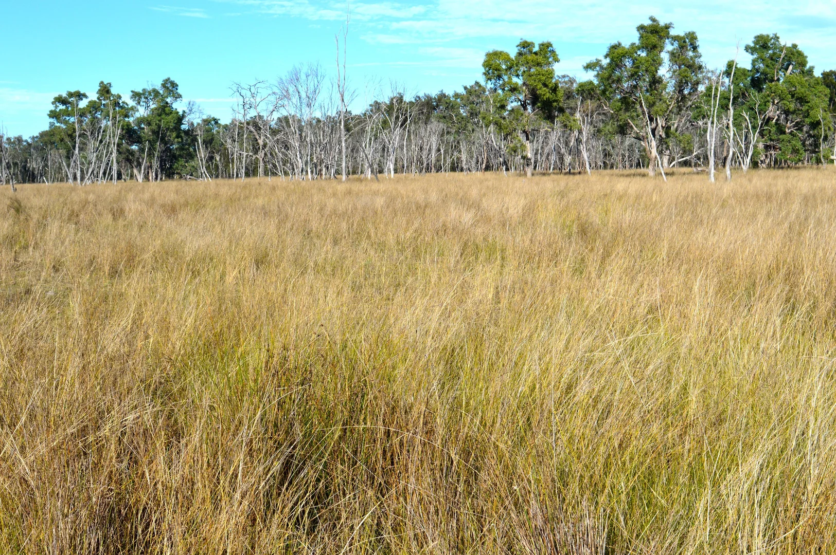 Additional image 6 of Hollybank Road, Inglewood QLD 4387
