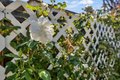 Additional image 48 of 7513 Blue Bell Cir, Sacramento, CA, 95829