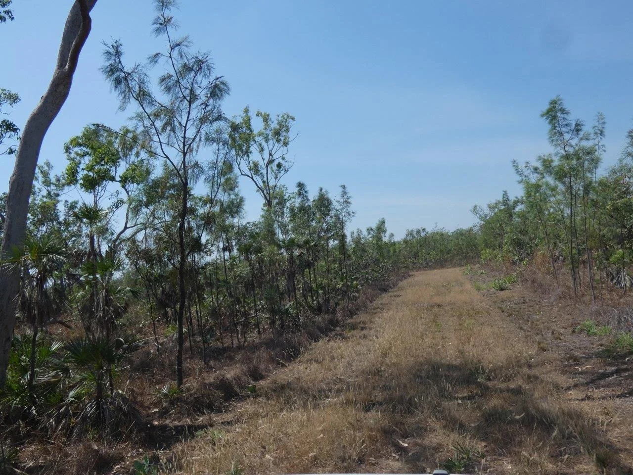 Additional image 4 of 108 Mielang Road, Blackmore NT 0822