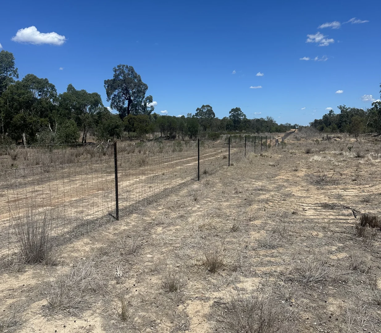 Additional image 11 of Mosquito Creek Road, Inglewood QLD 4387