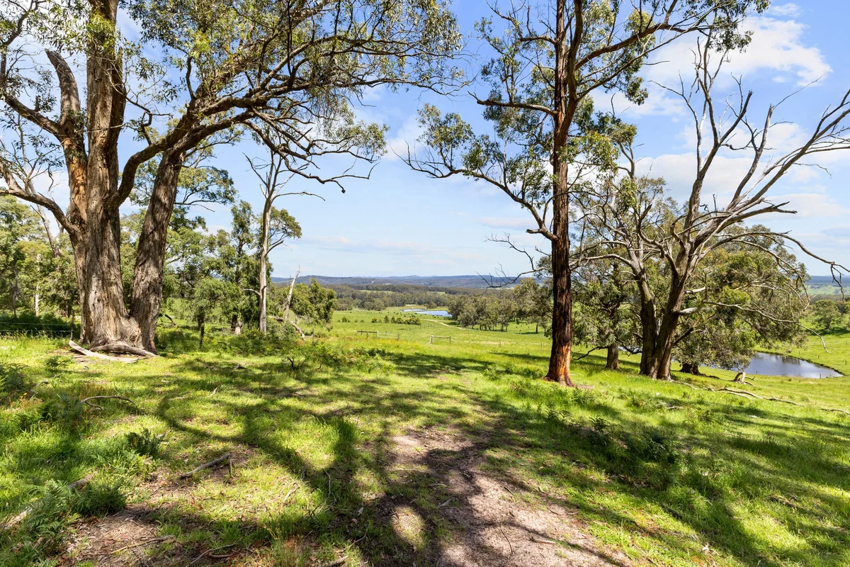 Additional image 23 of 55 Fairbairns Road, Yinnar South VIC 3869