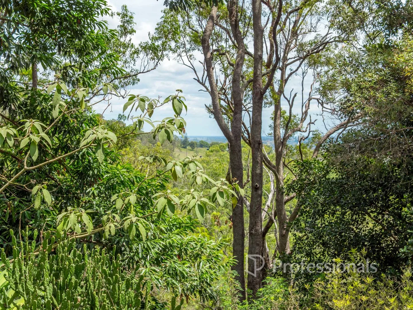 Additional image 15 of 103 Skyline Road South, Monaltrie NSW 2480