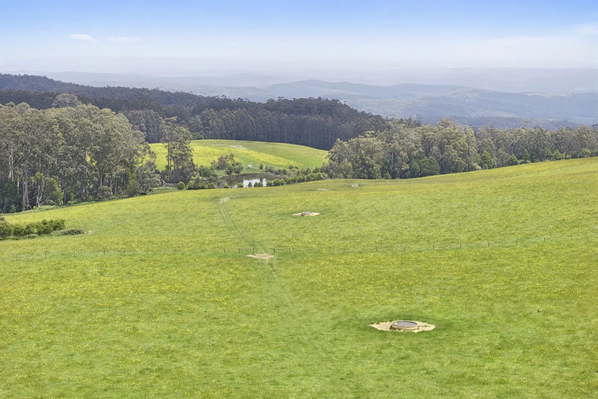 Additional image 35 of 4230 Colac-Lavers Hill Road, Weeaproinah VIC 3237