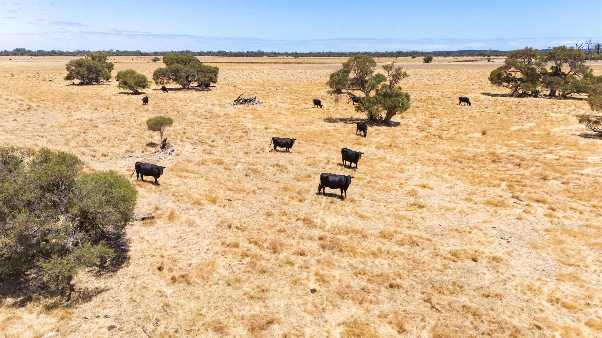 Additional image 27 of 1081 Buller Road, Waroona WA 6215