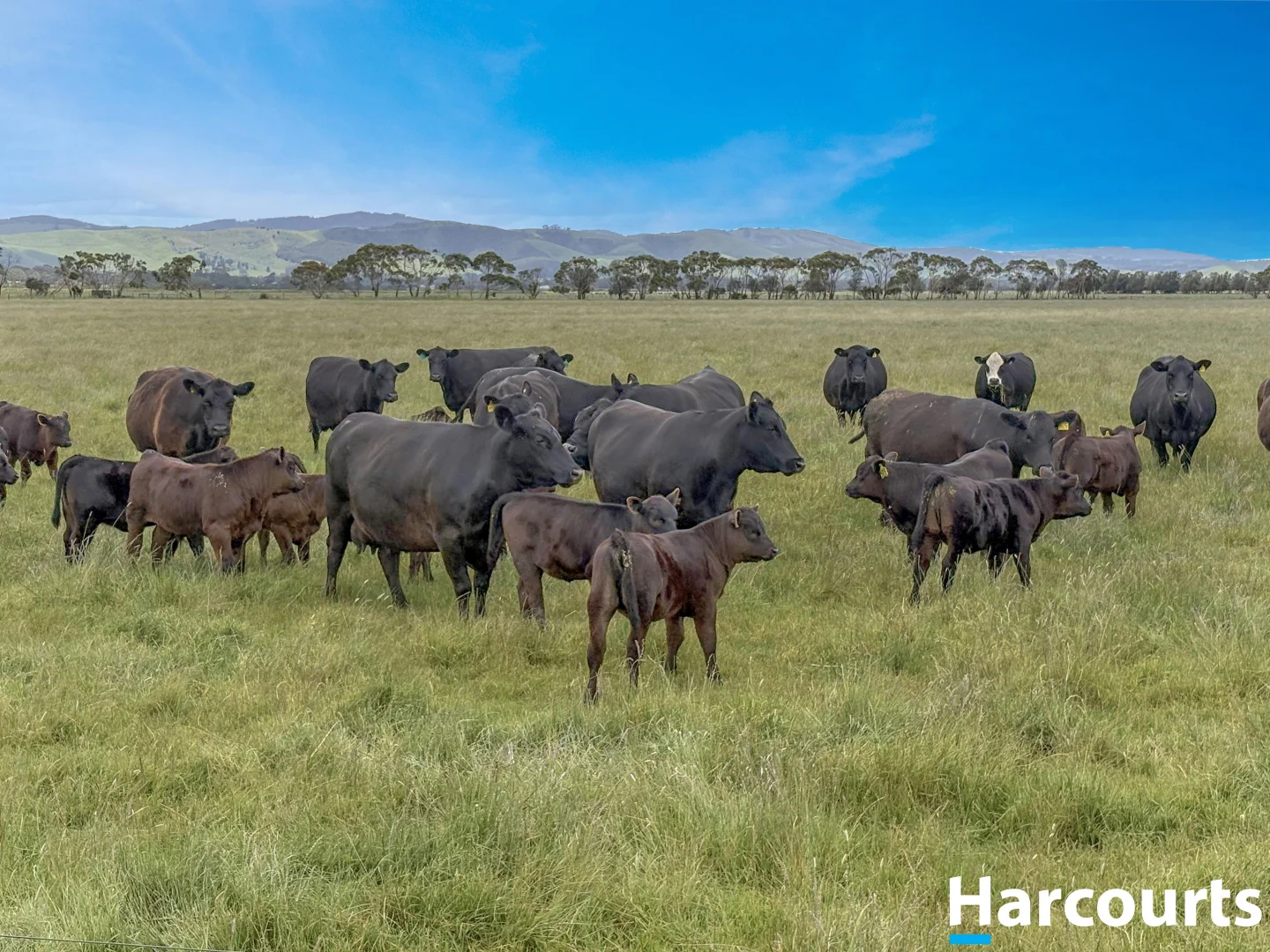 Additional image 25 of 515 Fullers Road, Foster VIC 3960