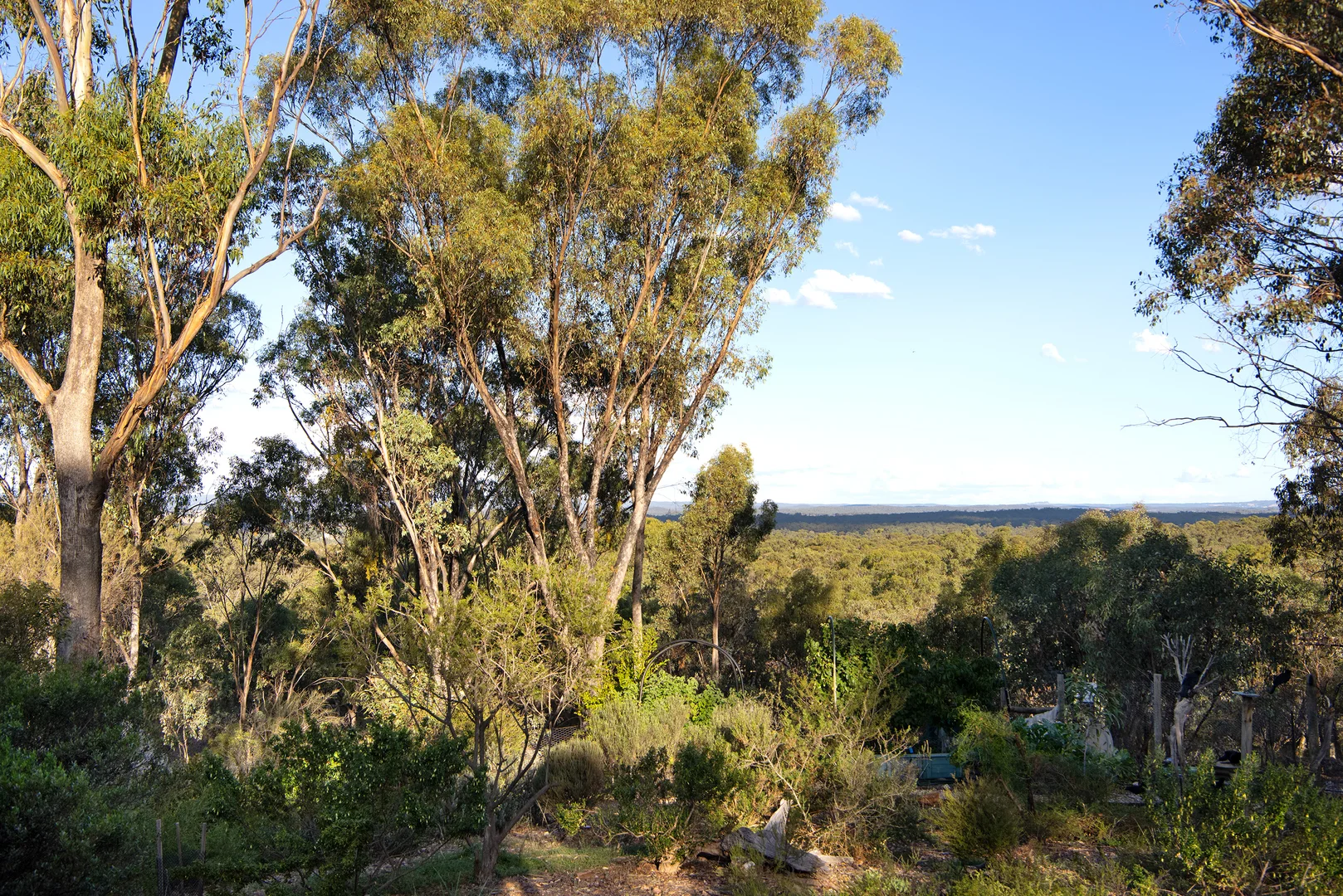 Additional image 22 of 93 Kooyea Lane, Strangways VIC 3461