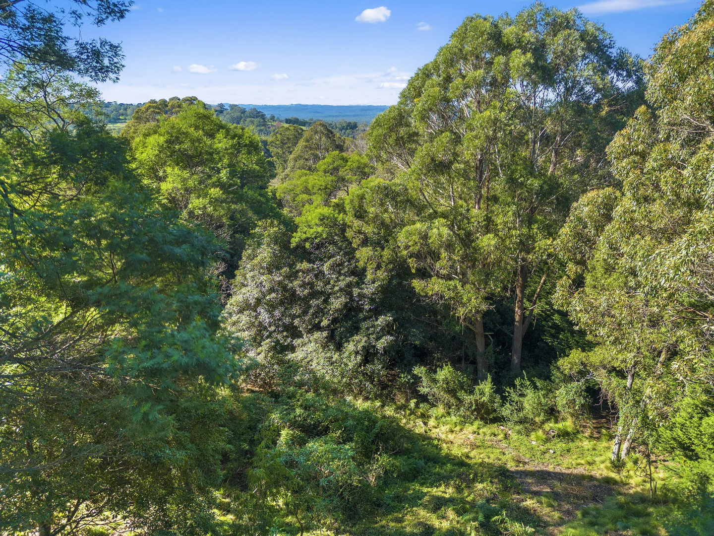 Additional image 6 of 35 Ben Nevis Circuit, Bundanoon NSW 2578