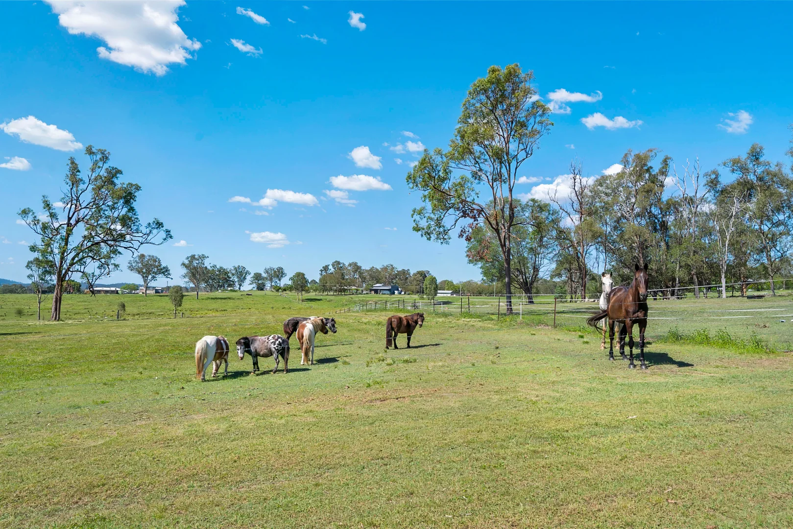 Additional image 22 of 456 Abel Rd, Lower Wonga QLD 4570