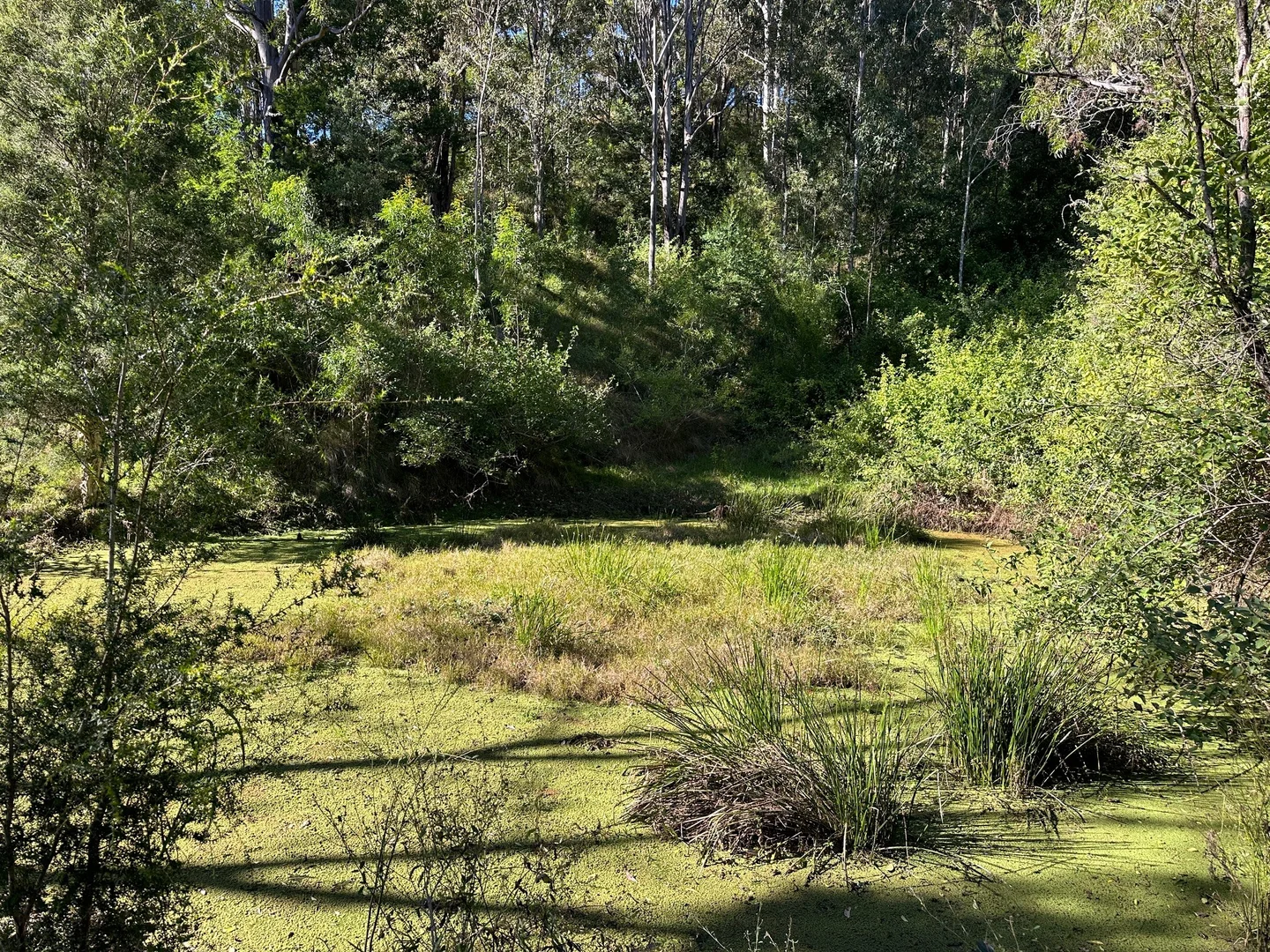 Additional image 15 of 129 Quartpot Creek Road, Dungog NSW 2420