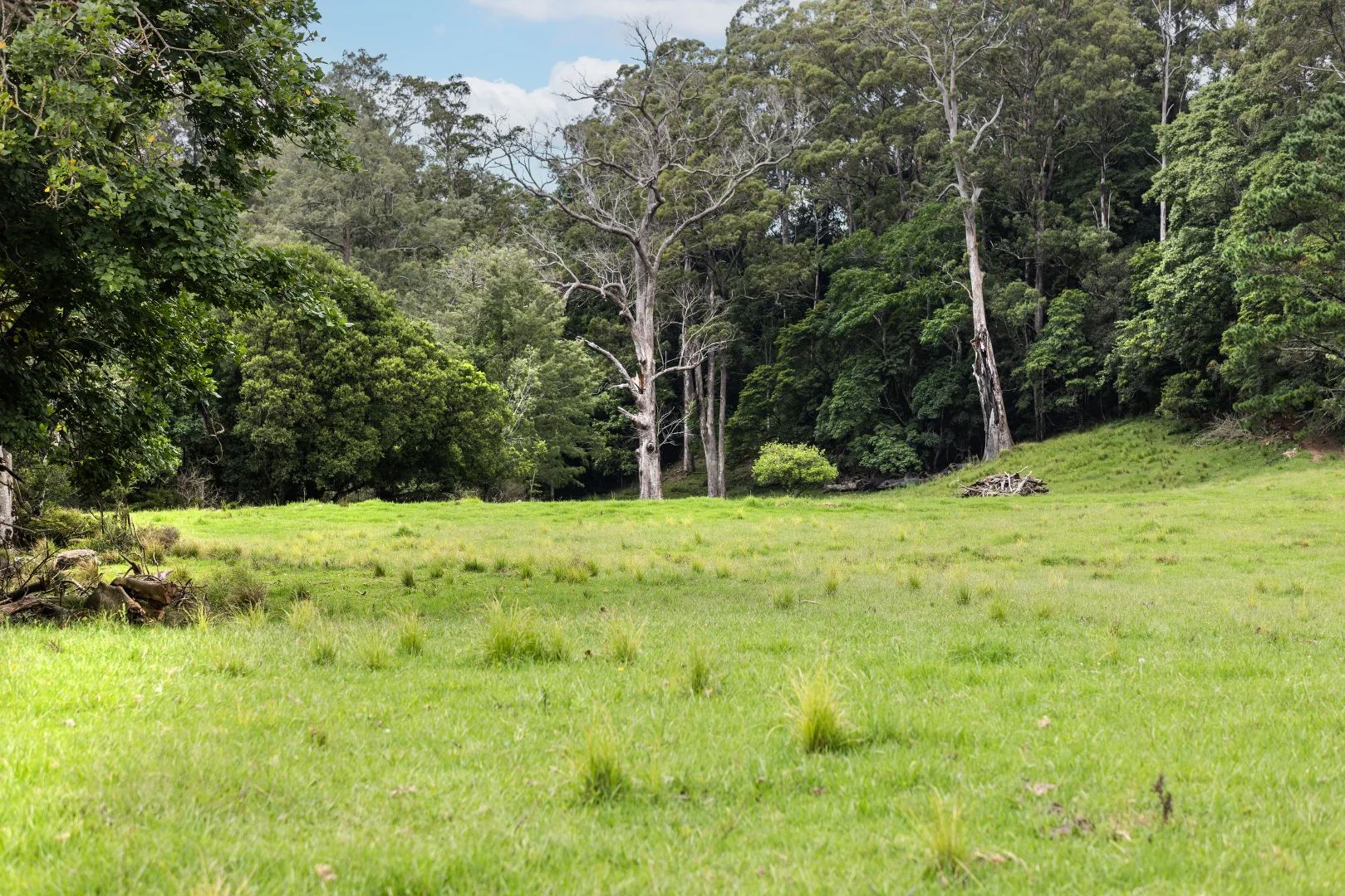 Additional image 18 of 'Franks Farm' Lots 127-129 Free Selectors Road, Foxground NSW 2534