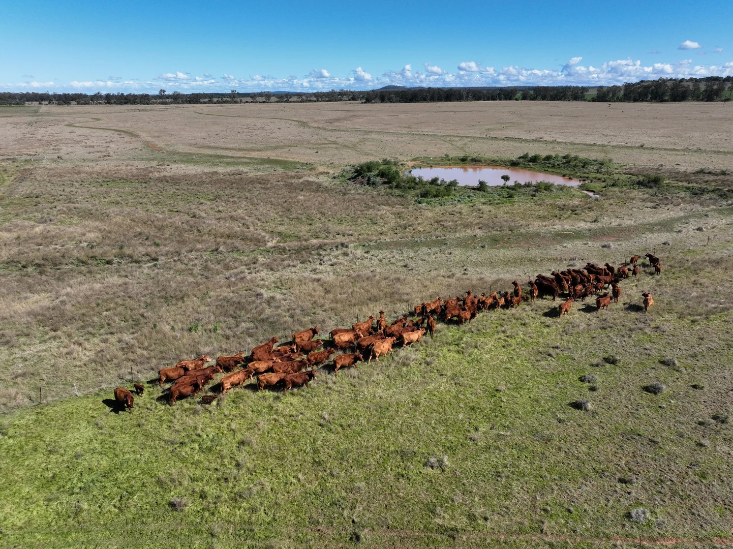 Additional image 23 of 635 Mayfield Road, Narrabri NSW 2390