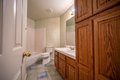 Additional image 24 of 319 Shelduck Ln, Galt, CA, 95632