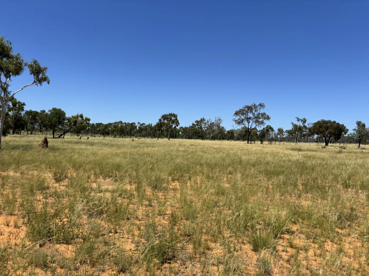 Additional image 4 of Lot 12 Capricorn Highway, Jericho QLD 4728