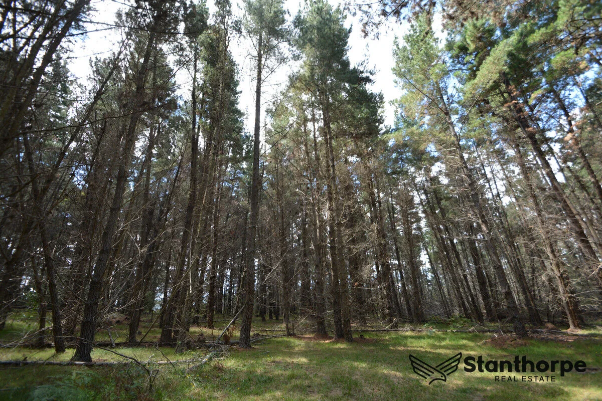 Additional image 10 of 240 Panoramic Drive, Sugarloaf QLD 4380