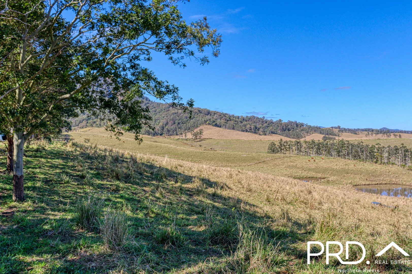 Additional image 10 of Lot 30, 46 Lynches Creek Road, Wiangaree NSW 2474