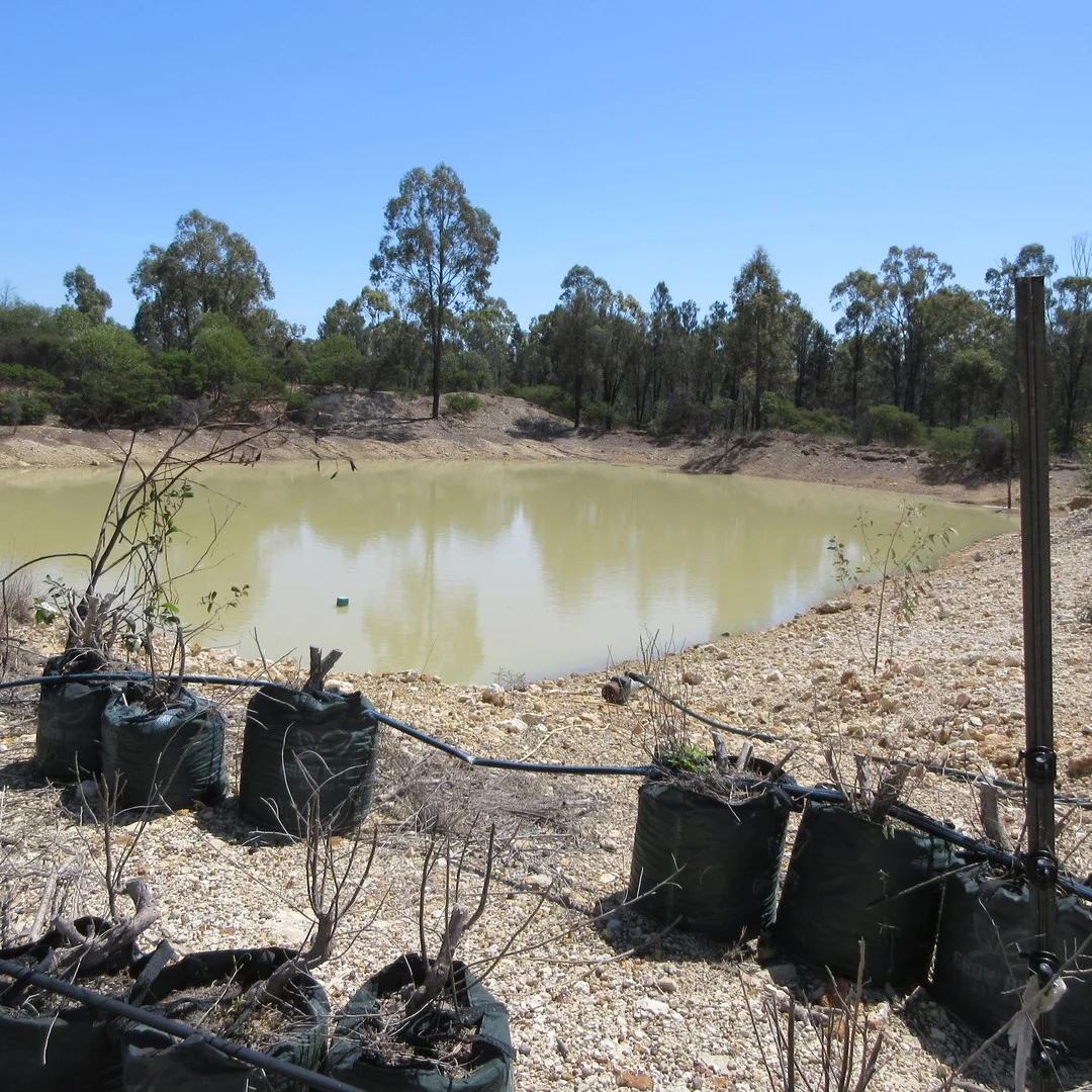 129 Miegunyah Court, Tara QLD 4421
