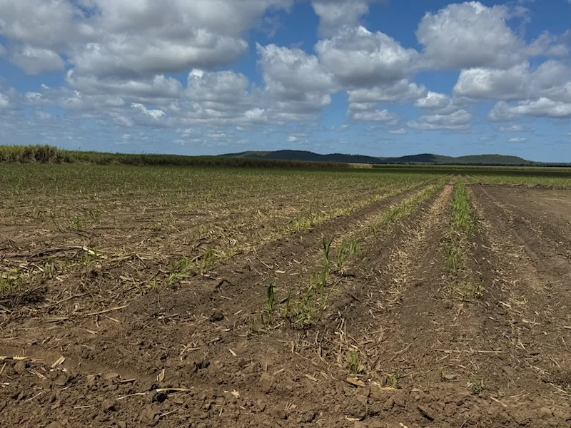 Additional image 13 of 218 Oats Road, Fredericksfield QLD 4806