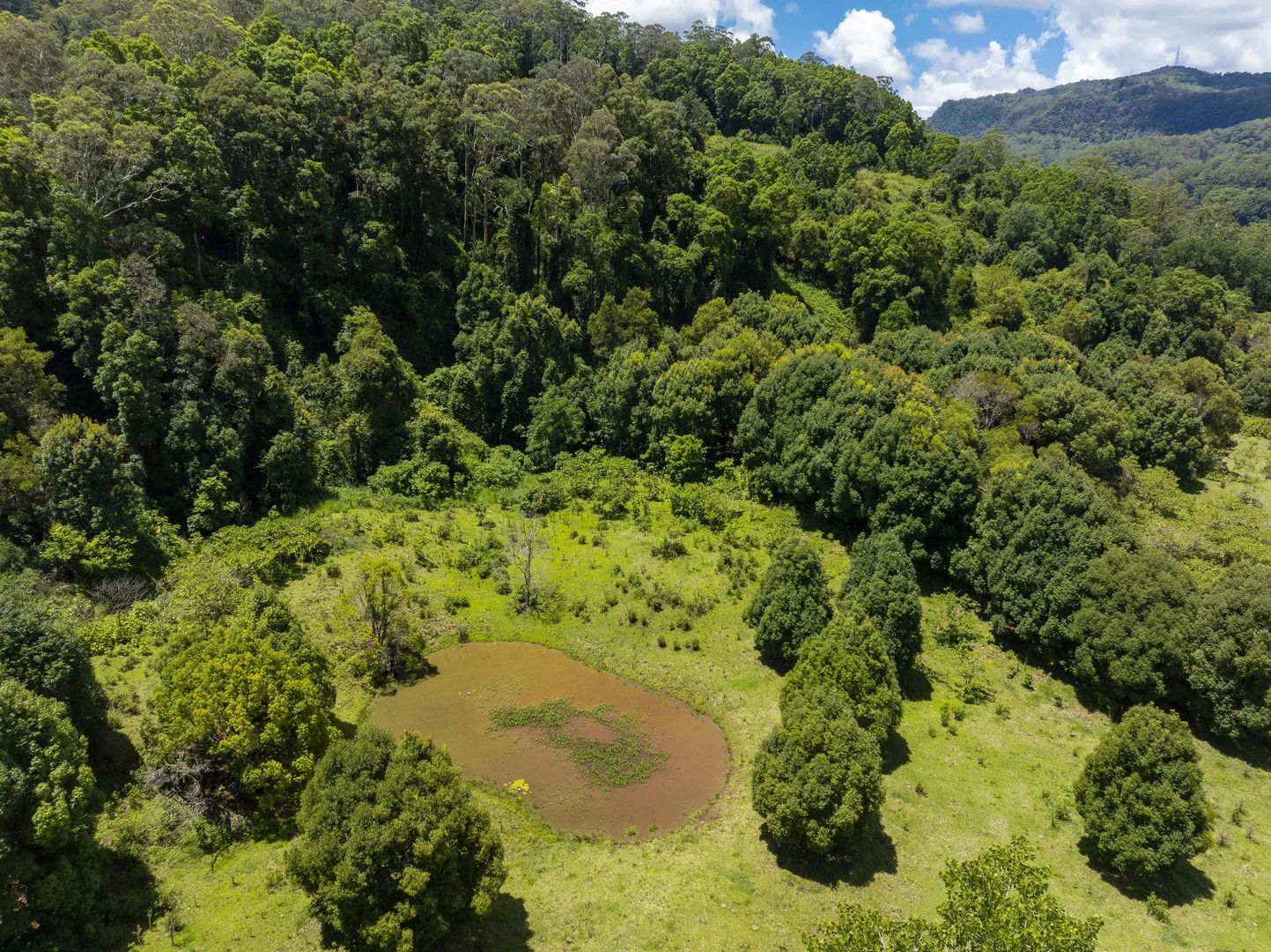 Additional image 37 of 353 Gungas Road, Nimbin NSW 2480