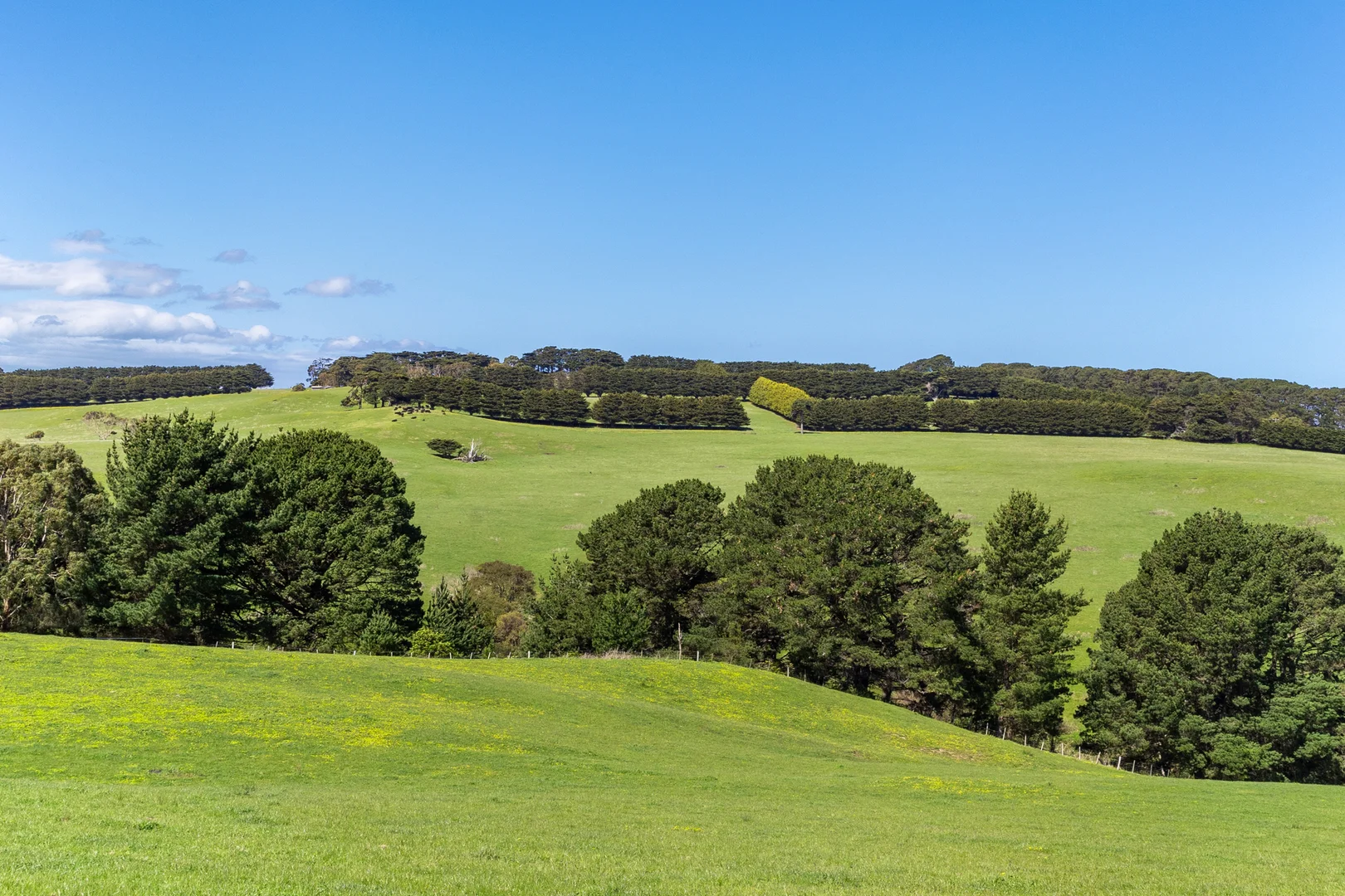 Additional image 9 of 1597 Boneo Road, Flinders VIC 3929