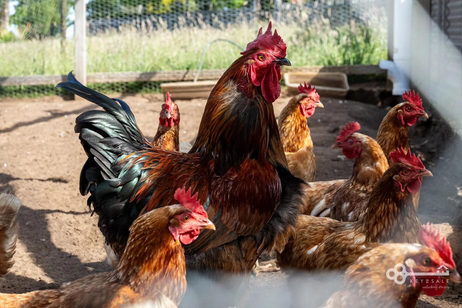 Additional image 15 of 186 Mount Percy Road, Compton SA 5291