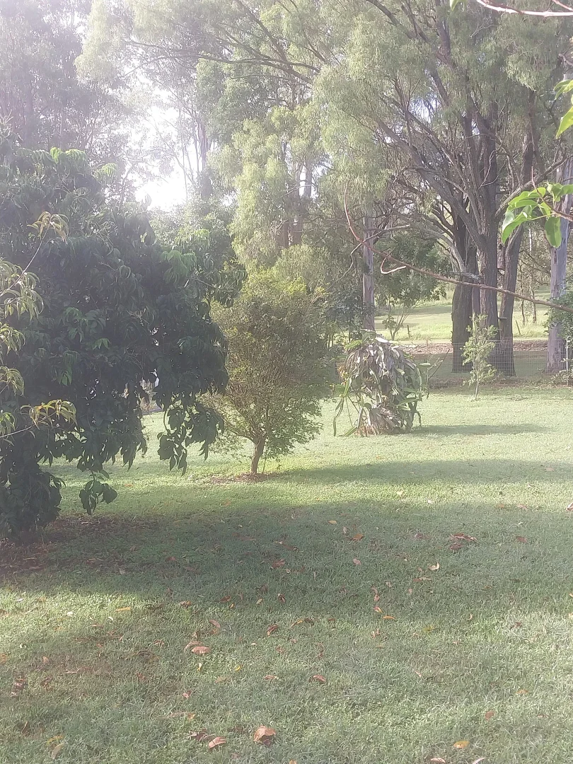 Additional image 26 of 25 English Street, Gin Gin QLD 4671