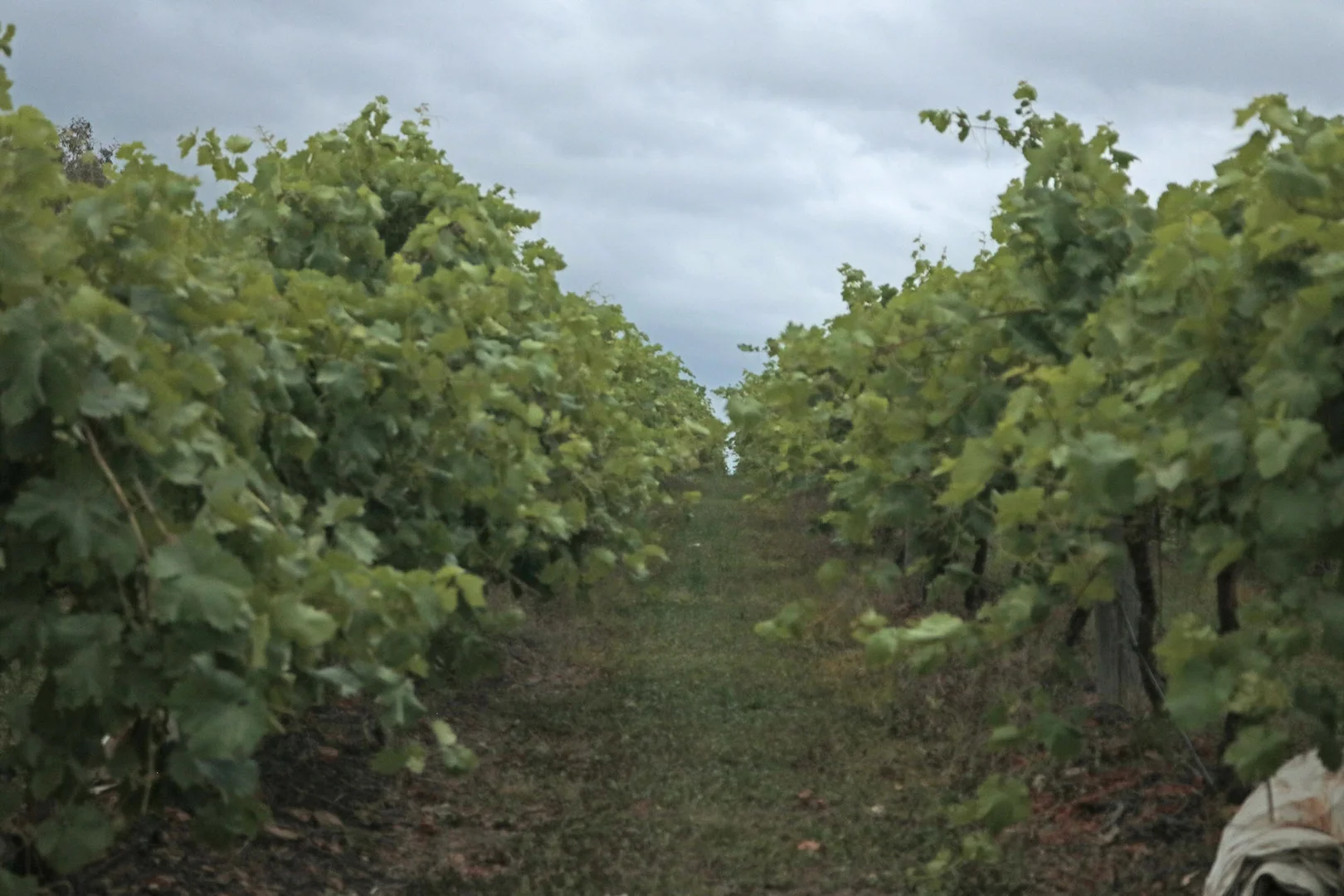 Additional image 19 of 700 Coonambula Road,, Riverleigh QLD 4626