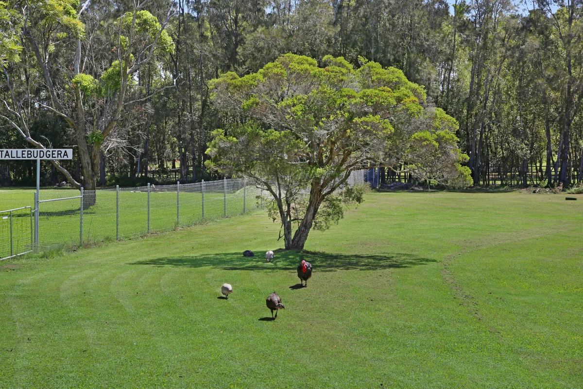 Additional image 31 of 5 Daffodil Street, Tallebudgera QLD 4228