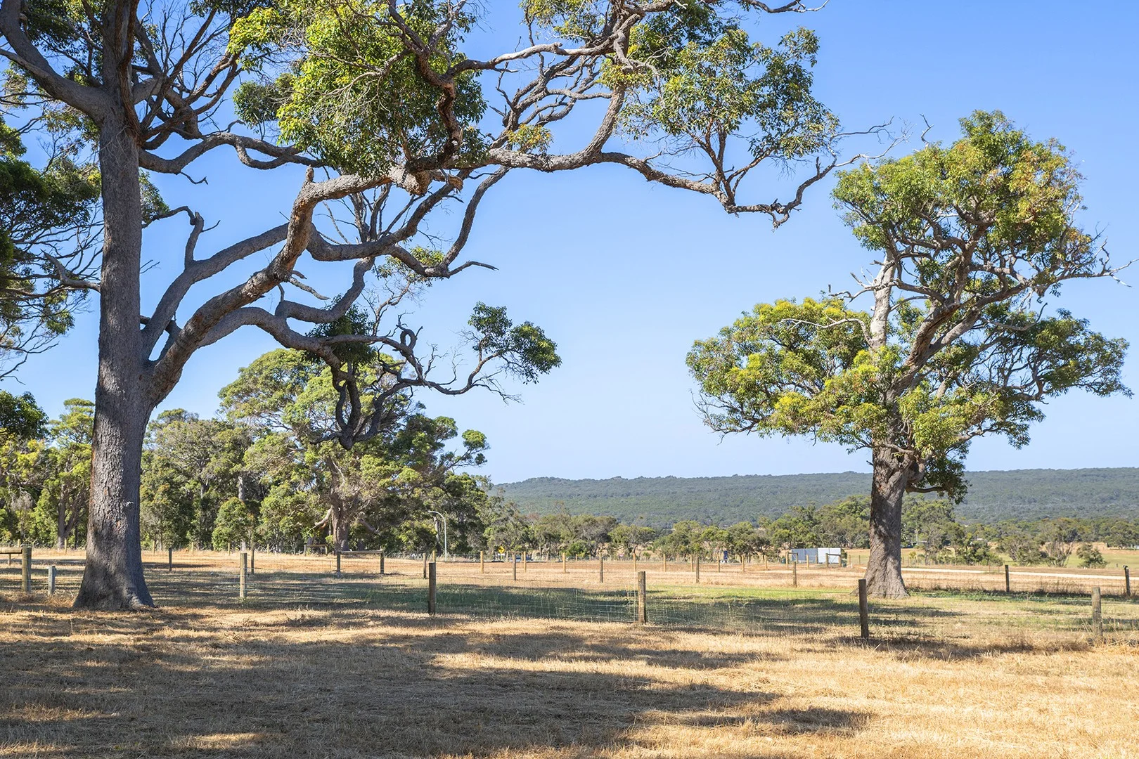 Additional image 3 of 374 Kudardup Road, Kudardup WA 6290