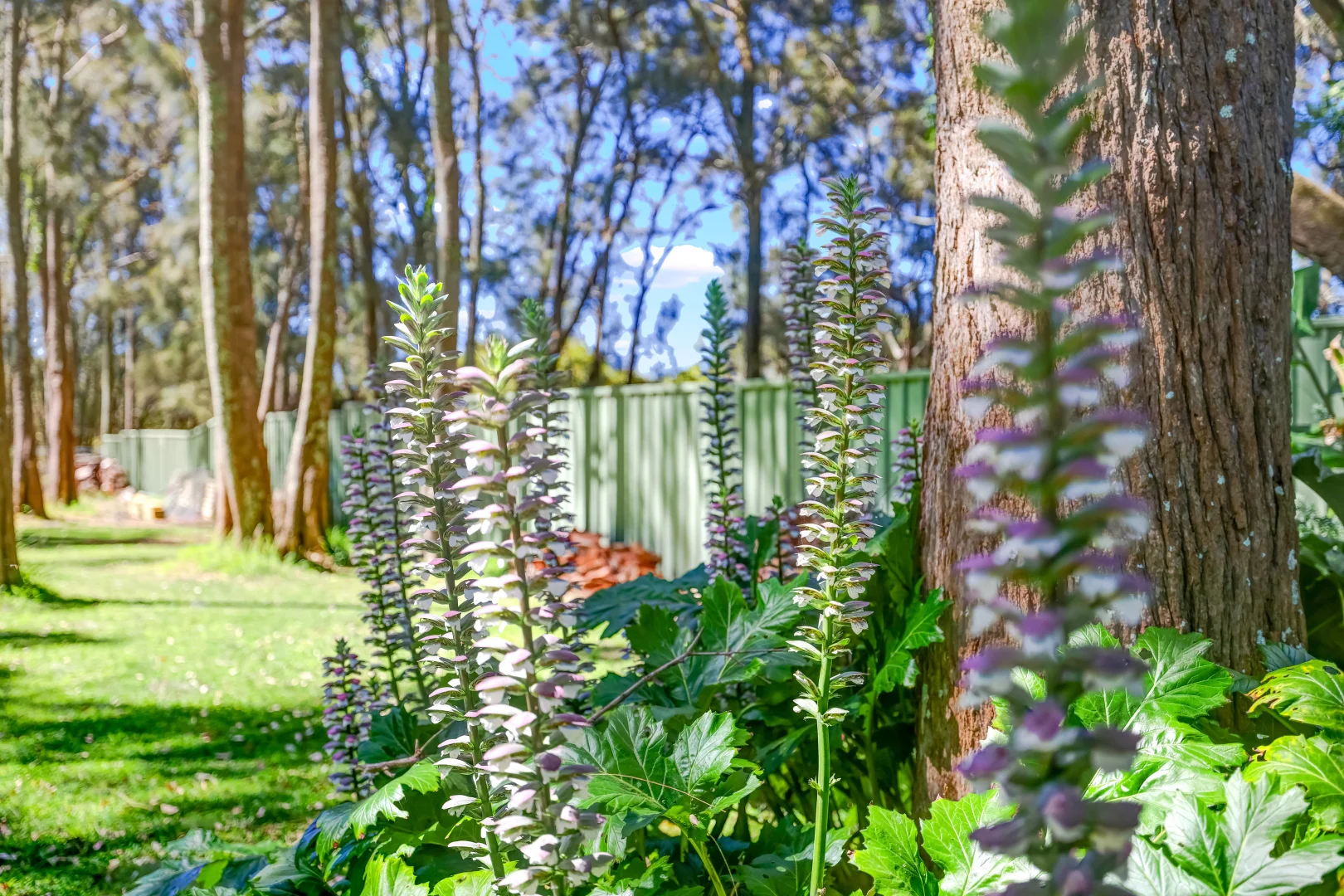 Additional image 26 of 3 Brighton Parade, Culburra Beach NSW 2540