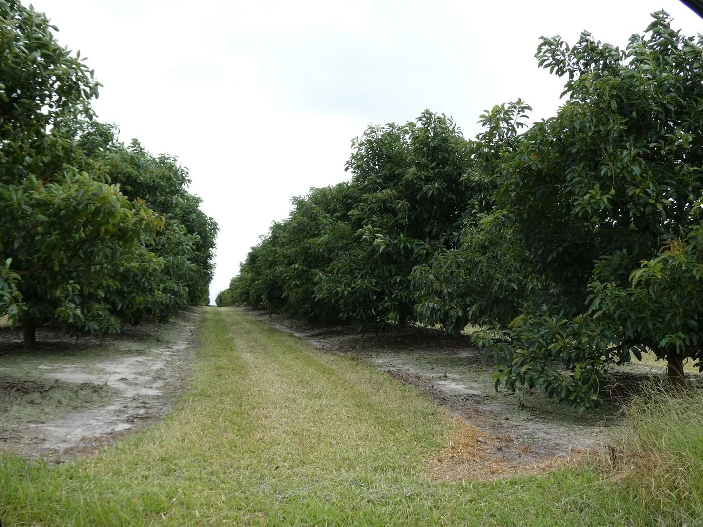 Additional image 5 of 154 Foleys Road, North Gregory QLD 4660