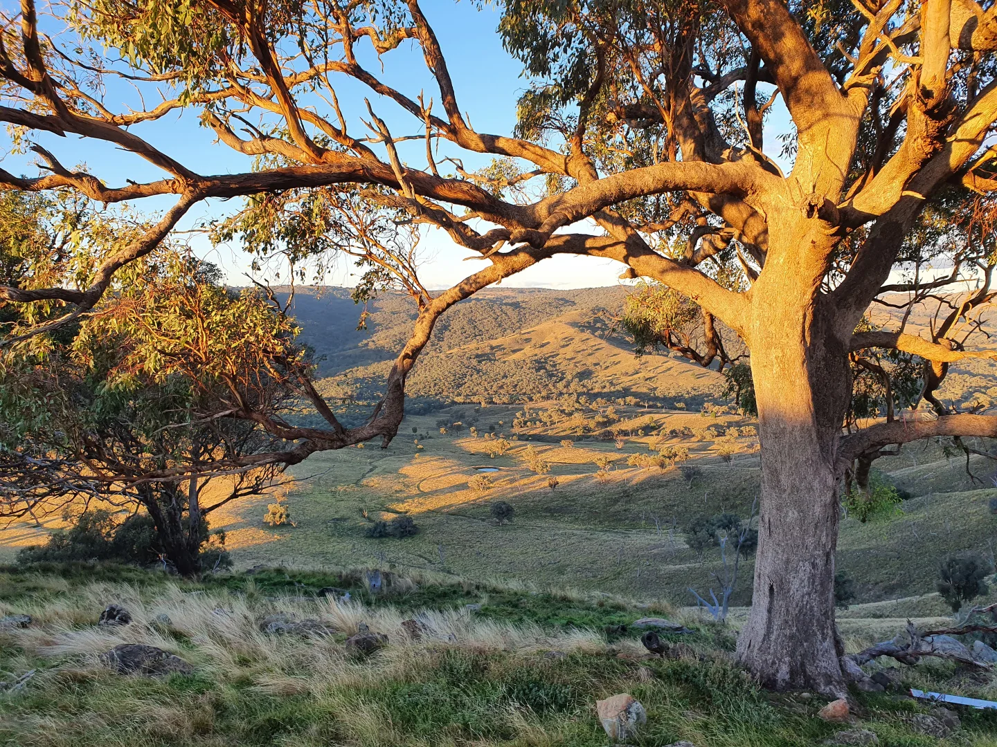 Additional image 9 of 210 Burns Road, Ullamalla, Mudgee NSW 2850