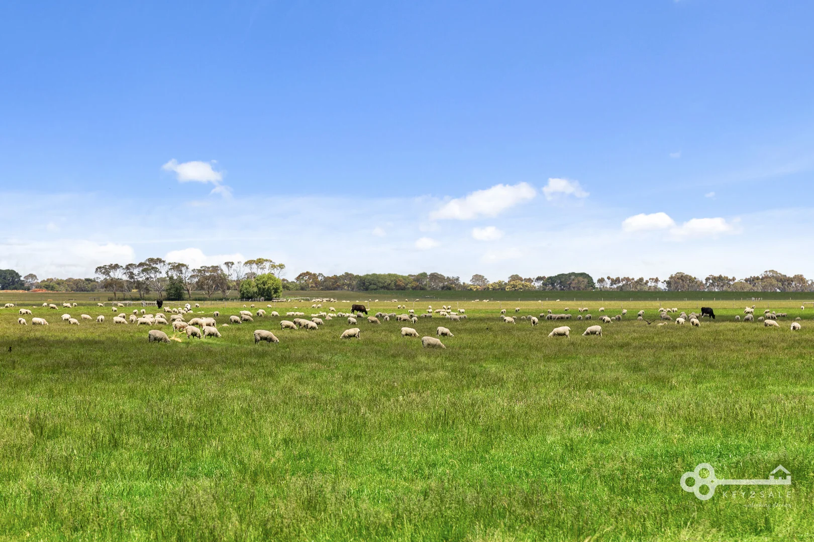 Additional image 13 of 560 McKenzie Road, Mingbool SA 5291