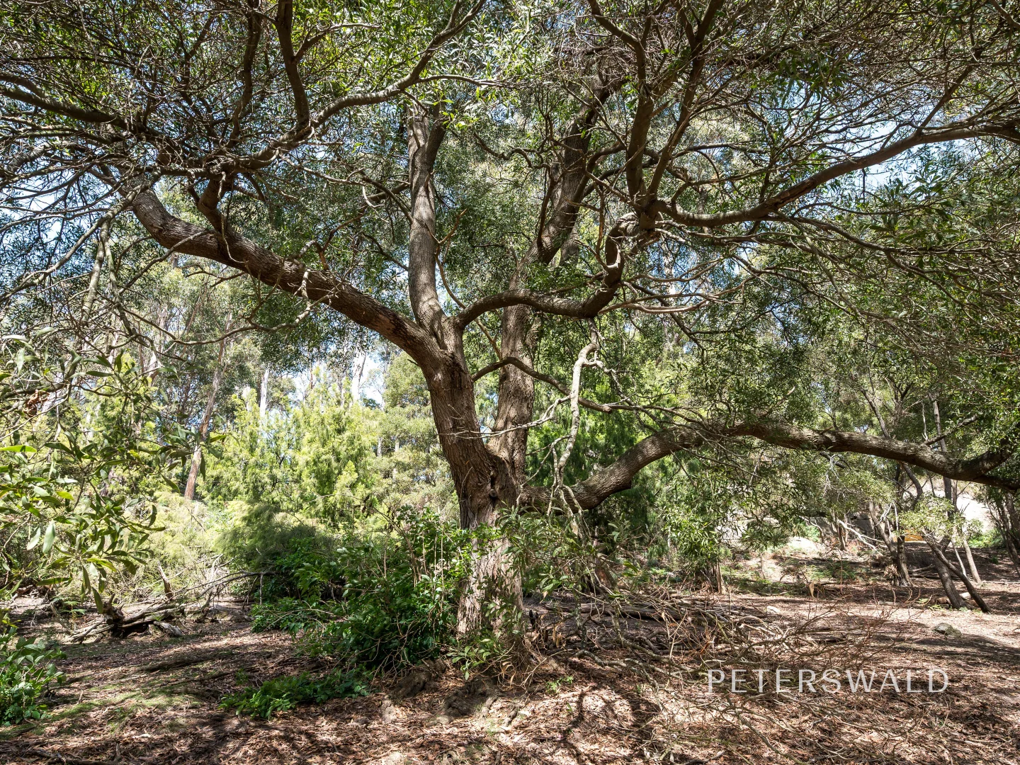 Additional image 31 of 109 Jones Road, Premaydena TAS 7185