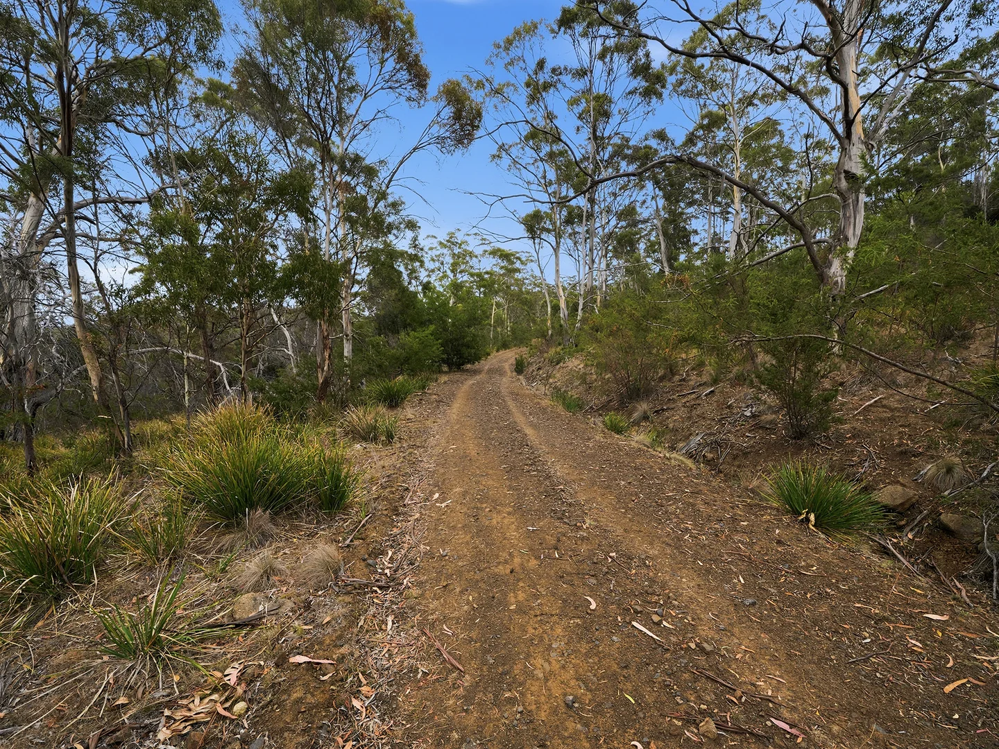 Additional image 11 of 1 Mary Street, Orford TAS 7190