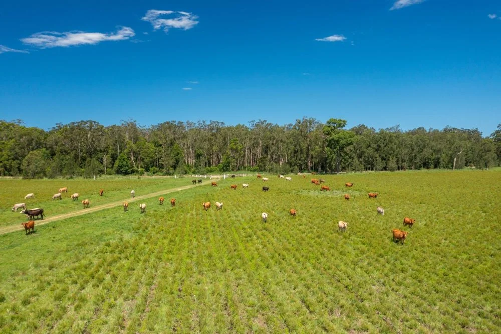 Additional image 8 of 1205 Maria River Road, Limeburners Creek NSW 2444