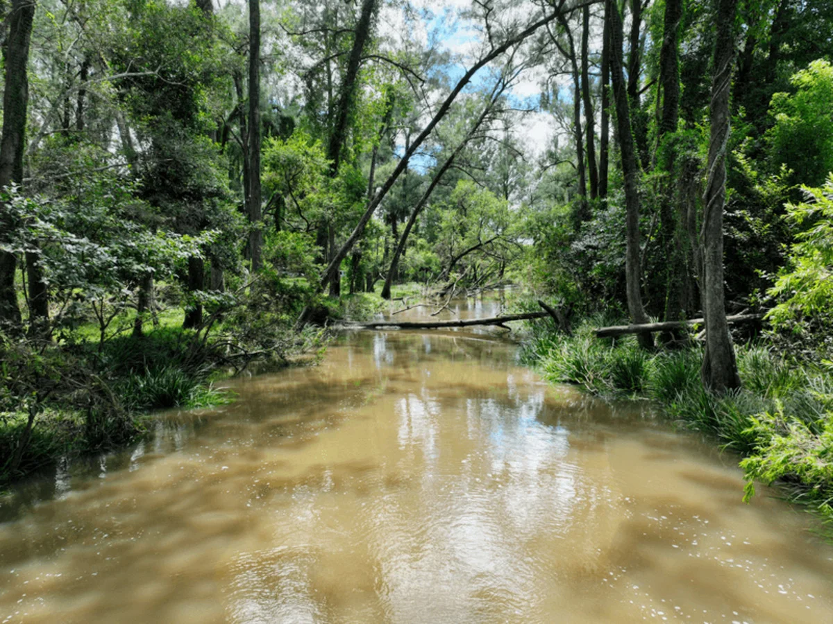Additional image 13 of Paddy's Flat Road, Tabulam NSW 2469