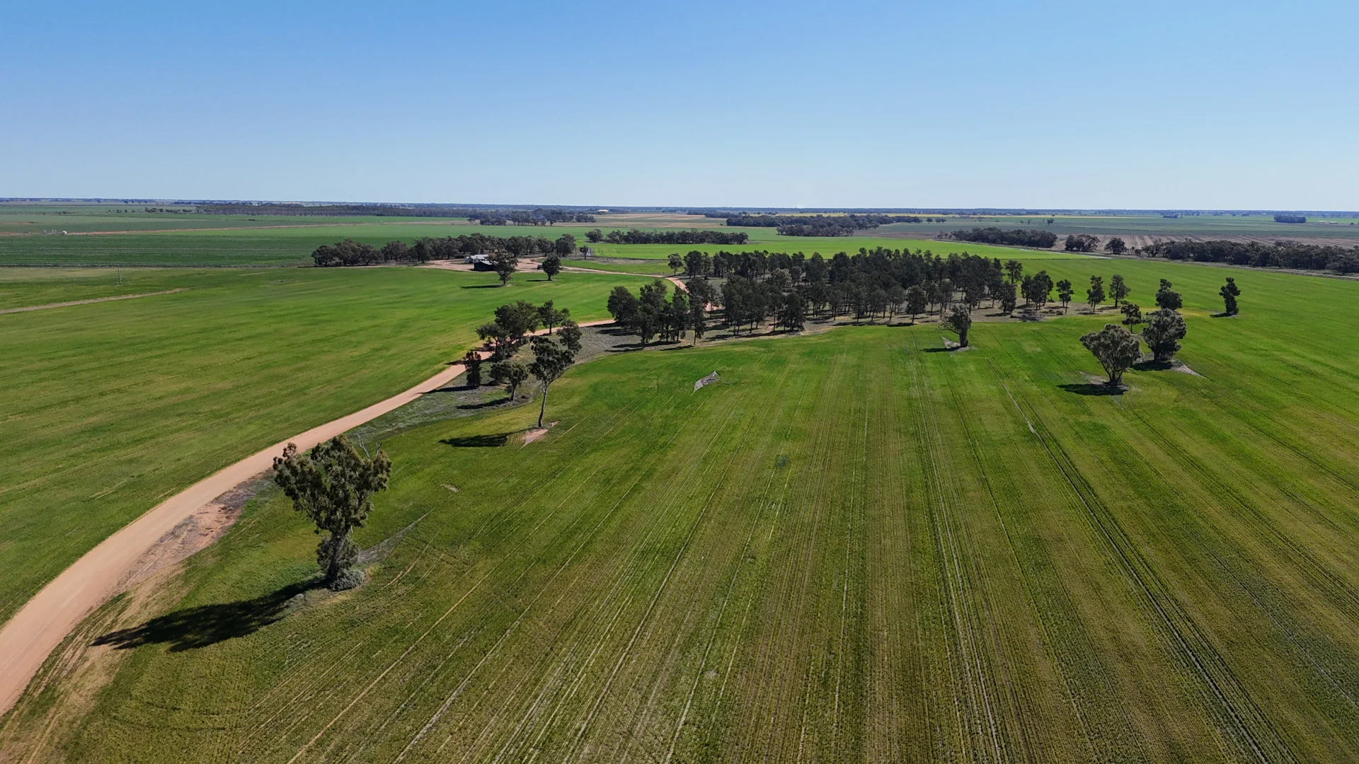 Additional image 11 of Farm 25/1354 Main Canal Road, Coleambally NSW 2707