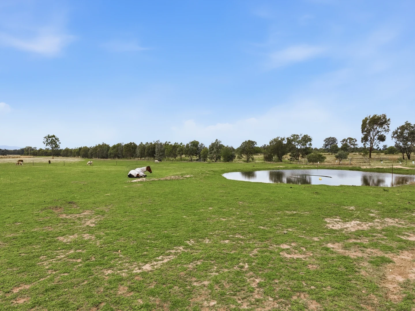 Additional image 33 of 562 Warby Range Road, Wangaratta South VIC 3678