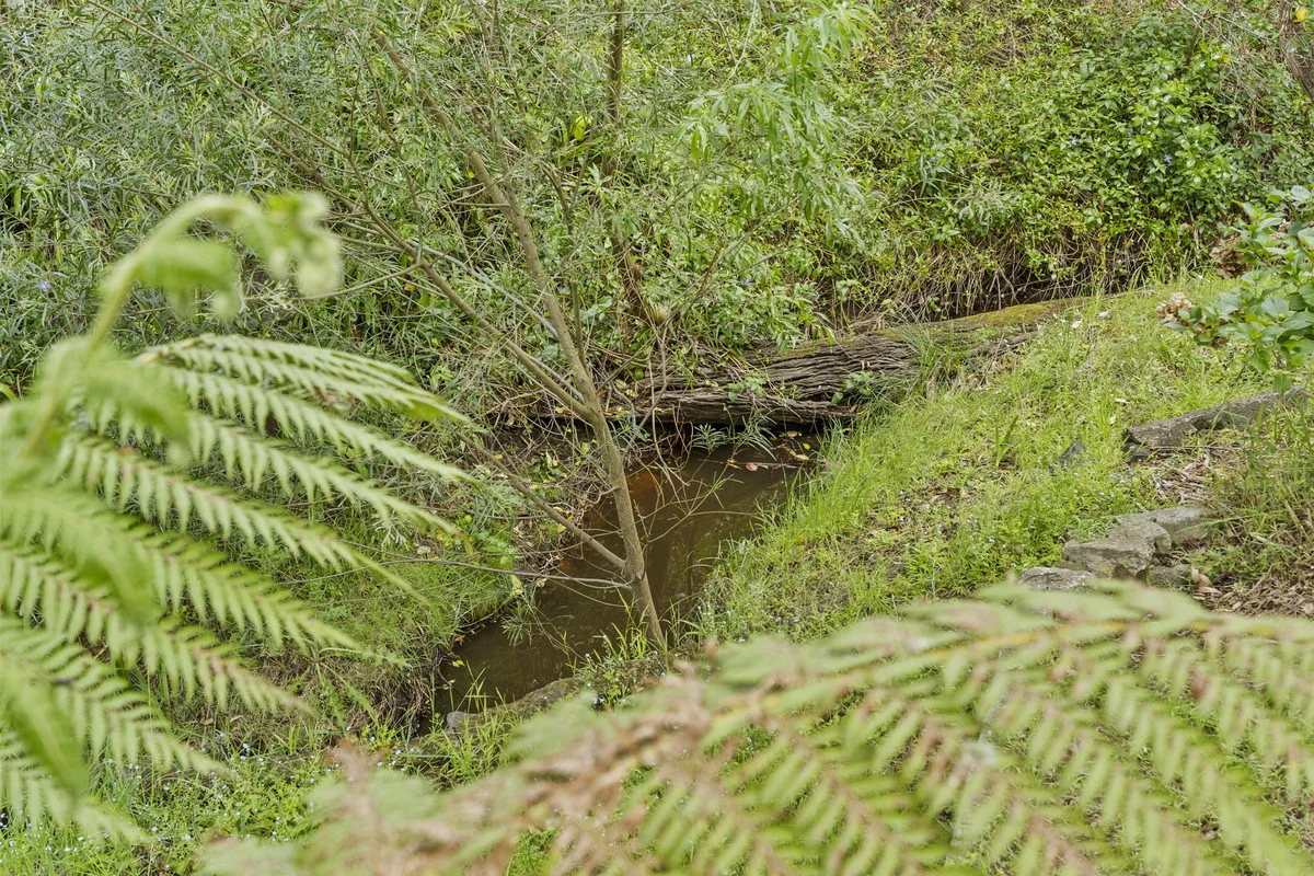 Additional image 26 of 10 East Shelly Road, Orford TAS 7190