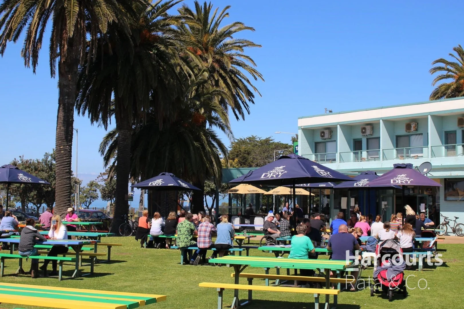 Additional image 6 of 25 Georgina Avenue, St Leonards VIC 3223