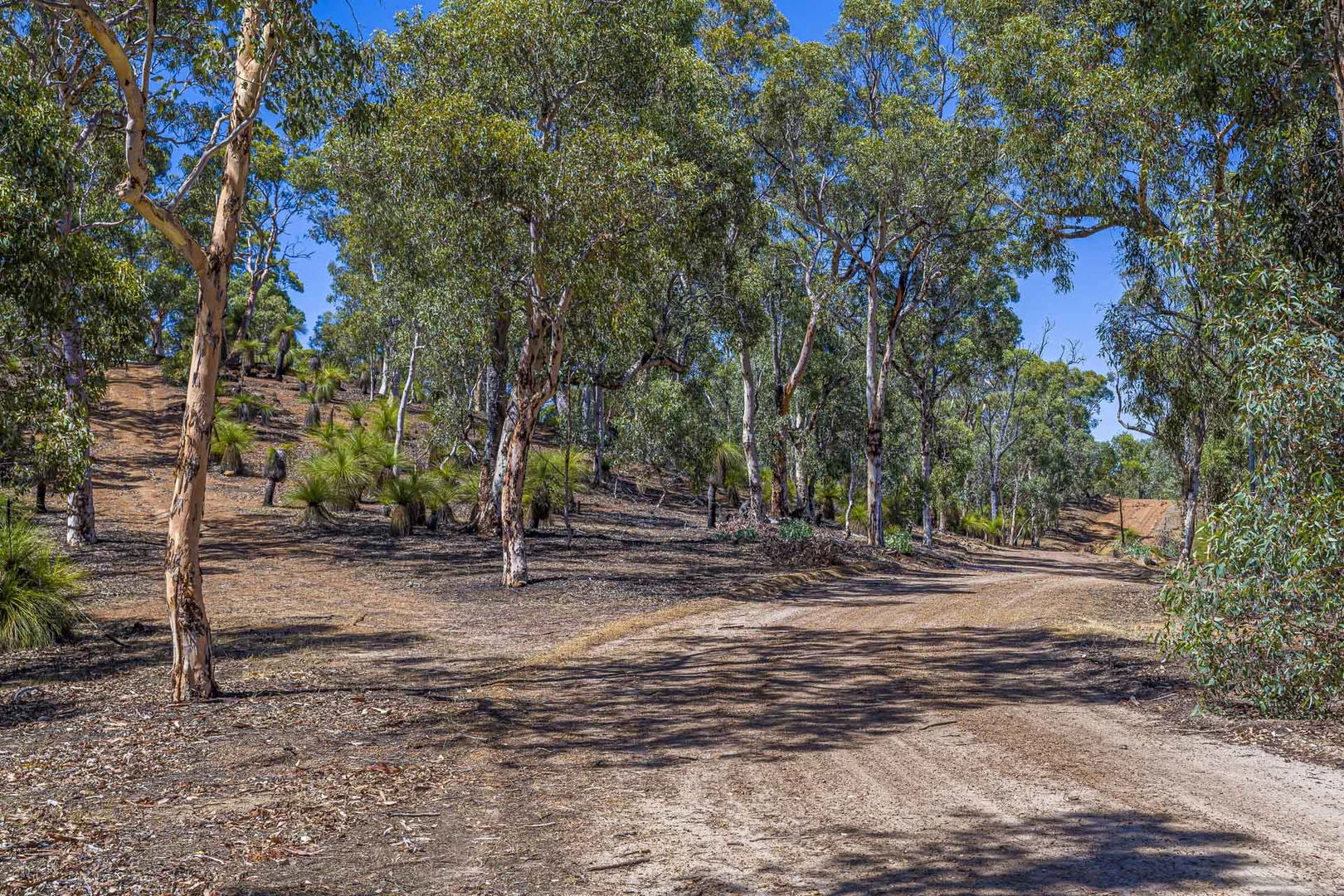 Additional image 28 of 167 Davis Road, Lower Chittering WA 6084